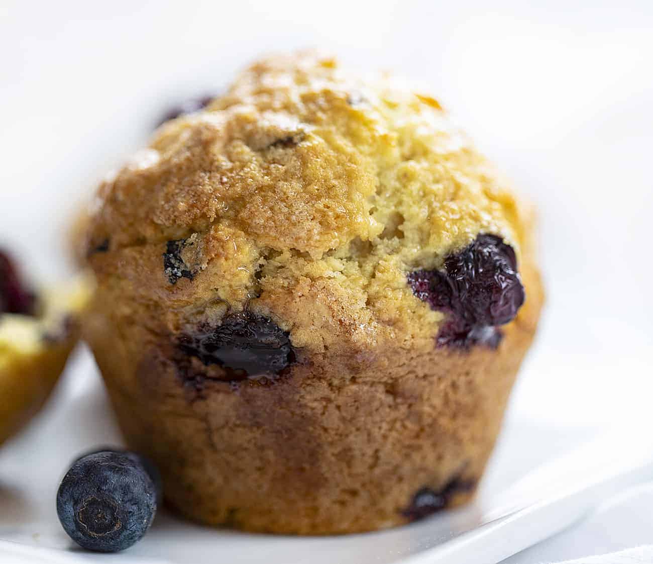 Use your sourdough starter to make these moist and fluffy Sourdough Blueberry Muffins! sourdough blueberry muffins, blueberry muffins, muffins recipes, blueberry recipes, breakfast, iambaker, i am baker, sourdough starter One Sourdough Blueberry Muffin on White Plate with Blueberry Nearby
